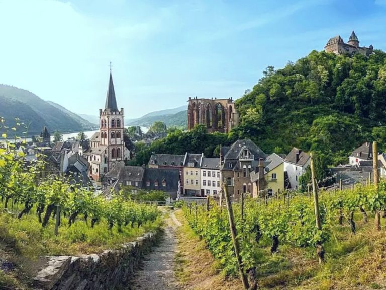 Blick über die Weinberge auf die Altstadt von Bacharach mit St. Peter Kirche, Wernerkapelle und Burg Stahleck – UNESCO-Welterbe Mittelrheintal